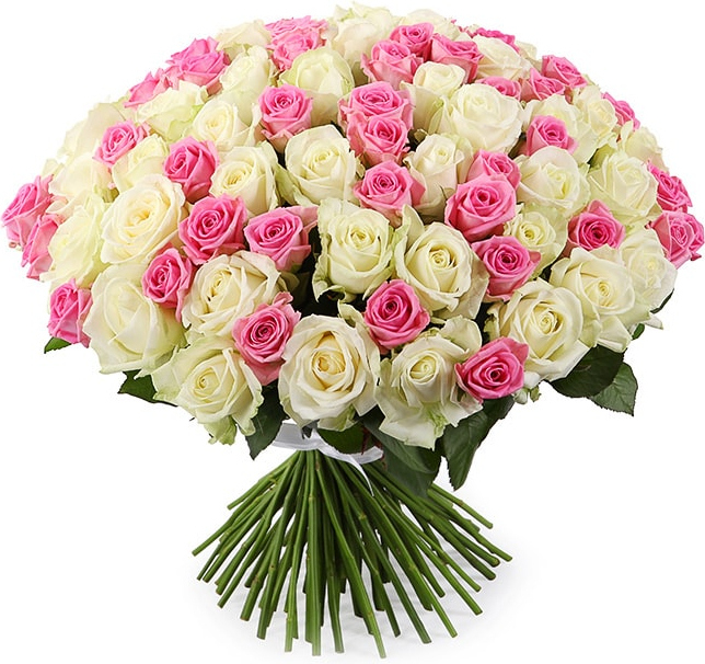 Розы Россия Микс Розы Россия Микс № 1