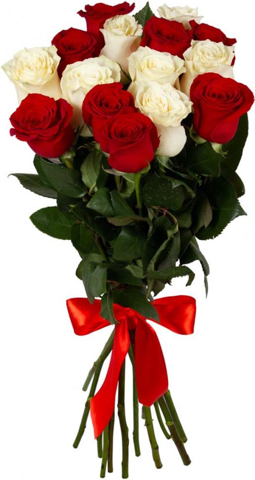 Розы Голландия микс № 2