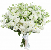 Белая эустома