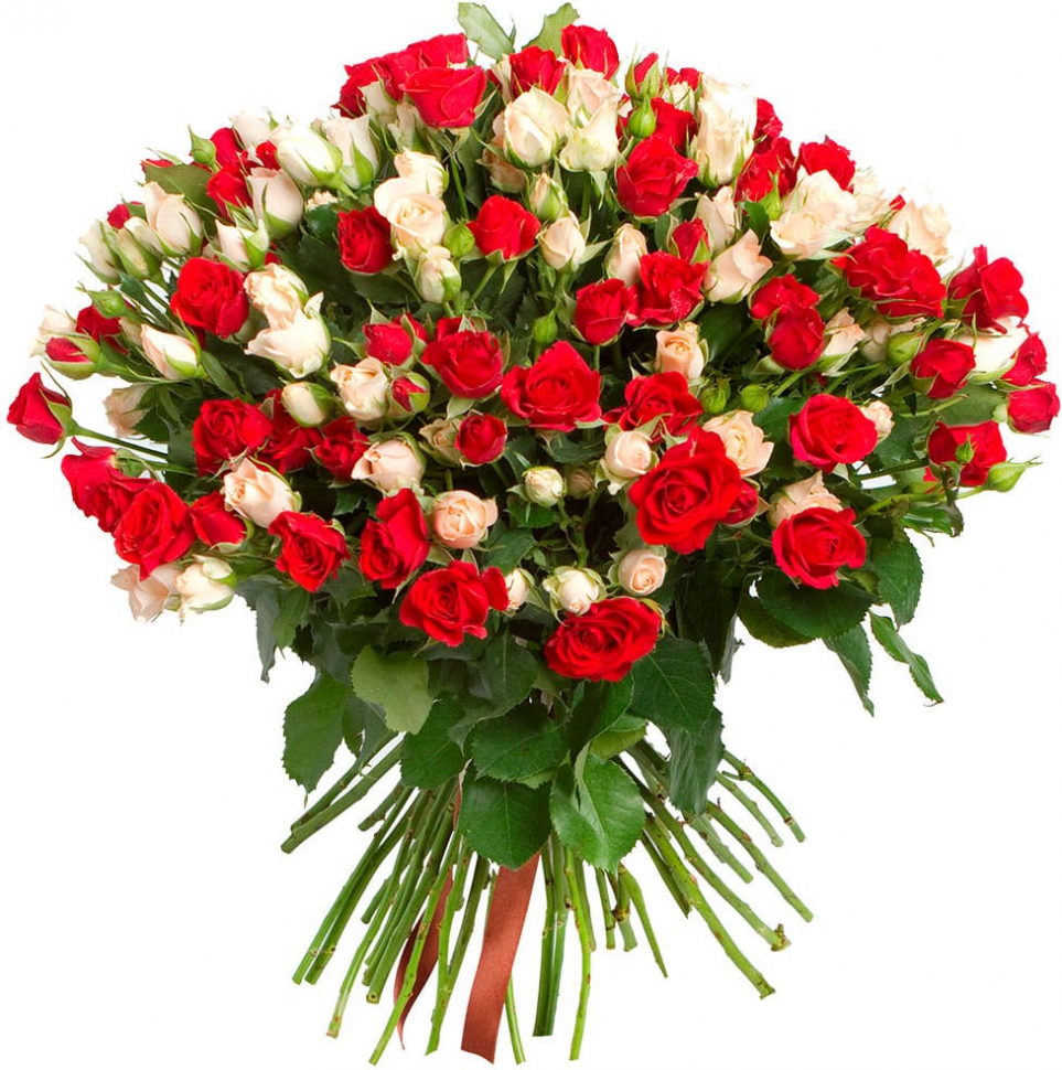 Кустовые розы Микс № 3 Кустовые розы Микс № 3