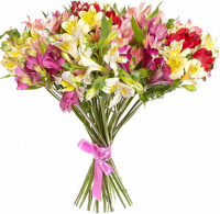 Букет «Пейзаж» Букет «Пейзаж»