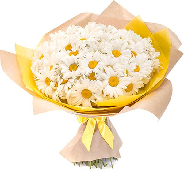 из больших ромашек Букет «Лучший день»